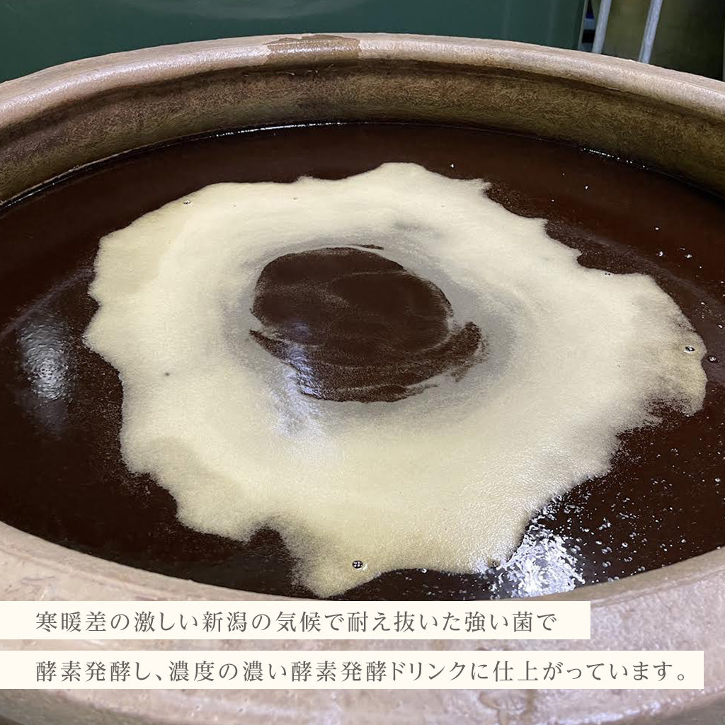 初回のみ  期間限定特別価格【61%OFF 4,980円】COCORAW®オリジナル酵素ドリンク720ml